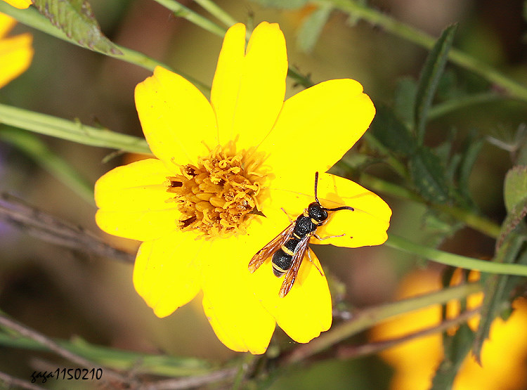 ���y蟎�H����