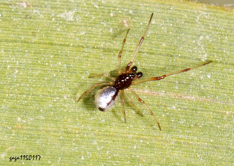 �ȸ��H�~�V�� ��